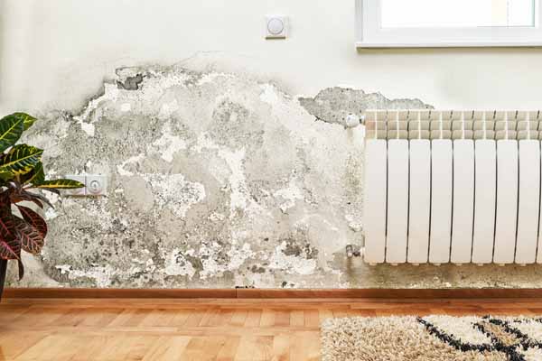 Expert mold inspection for your Lewis Center Ohio home or property